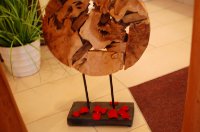 ein Bild aus dem Album